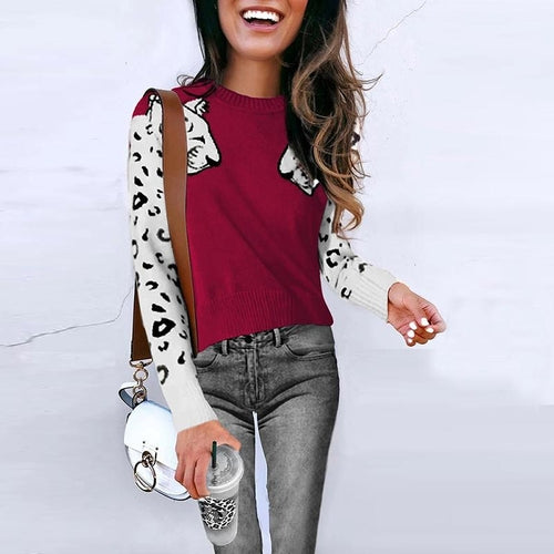 Animal print casual warm pullover    women Streetwear long