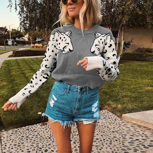 Animal print casual warm pullover    women Streetwear long