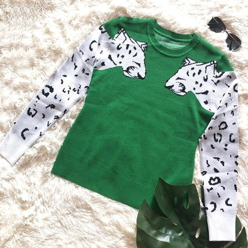 Animal print casual warm pullover    women Streetwear long