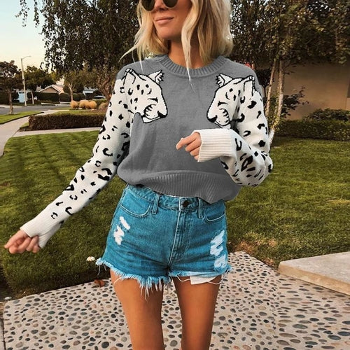 Animal print casual warm pullover    women Streetwear long