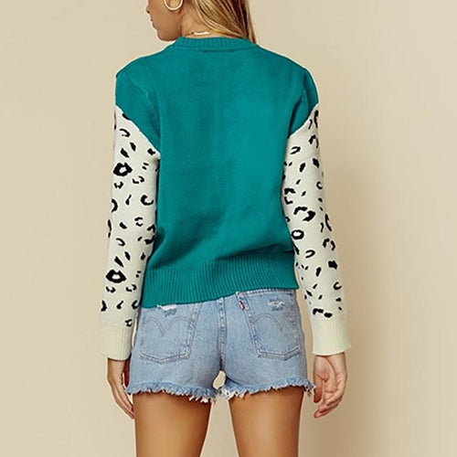 Animal print casual warm pullover    women Streetwear long